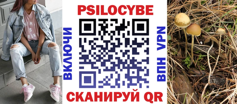 Псилоцибиновые грибы Cubensis  Меленки 